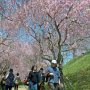 【常陸 風土記の丘】しっかしこの日は暑かったなー もう夏じゃんｗｗｗｗｗ 