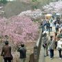 【石岡市・常陸風土記の丘】駐車場から場内に入ってまずはこの金龍橋を渡る方が多かったようです 