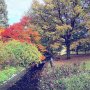 Brada 📸 🍂🍂
#hamburg #herbst #fall