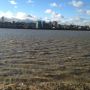 Father Thames glowing nicely 