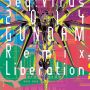 「Seq.Virus 2014 GUNDAM-Remix Liberation」 ポスターかっけー！