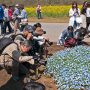 【ひたち海浜公園2016】花ある所にこいつらあり 進撃のカメ爺ｗｗｗ 後ろのおねーちゃんがドン引きしてるぞｗｗｗ (ﾟ∀ﾟ; ｱｾｱｾ 