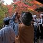 朝7時の竜頭の滝観爆台 すでにお客さんでいっぱいｗ