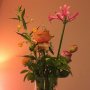I love flowers like this. #nofilter