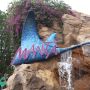   Niet verwacht, maar wat een vette achtbanen in #seaworld
