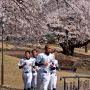 【桜紀行2014】矢板市・長峰公園の桜 近くの高校の野球部でしょうかランニングする光景も