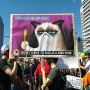 Protesting. This is how you do it! :-D  #NSA #GrumpyCat 