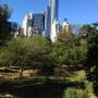 Central Park. 