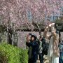 【常陸 風土記の丘】ﾊﾟｼｬｯ! Σp[【◎】]ω･´)ｯﾄﾅ