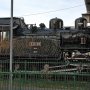 【真岡鐵道SLフェスタ】真岡駅構内に停車していたC12 D51やキューロクに比べるとちいせええええええ