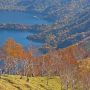 【中禅寺湖】社山・山頂付近より 高度が高いので八丁出島が霞んで見える...(;´Д｀)