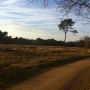 Groetjes vanaf de savanne. #hardlopen