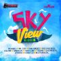 VARIOUS ARTIST - SKY VIEW RIDDIM #ITUNES 8/28/15 @TragediEnt