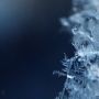 「暦の上では立春」...☃