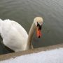 Im being followed. 