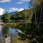 【奥日光】何年かに1回は小田代湖(冠水した小田代ヶ原)を見たい気もする