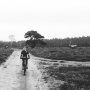 'Hattems mooiste' was mooi! Hier kiekje tussen de leeuwen #mtb #giant