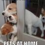 @LeeVonLeft @CuteEmergency I liked this 