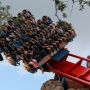 Kijk, als een kind zo blij in Sheikra 2 wkn geleden... :D #buschgardens #tampa