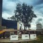 Kom kil
Wandel dan
Moeni worri
Heel die hoed was 1
#luchtsingel #rotterdam