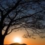 【茂木町】鎌倉山の日の出