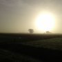 When you come back from Spain and Holland welcomes you like this... #lucky #nofilter #outsideisfree