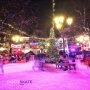 Disco Skate. P.078 lovely time tonight at the Leidse square. #bestofOver #onephotoaday #365project 