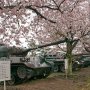 【土浦駐屯地桜まつり】自衛隊の歴代主力戦車3台が揃い踏み～♪ 