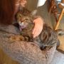 @Lucylondontaxi Hi Lucy. She's Luvly. 