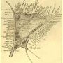 1800 map showing the residents around Clapham Common. All moved out when  @ProvisionalDave moved in.
