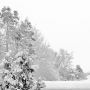 back snow depth
