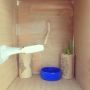 Faye made a toilet room for her dolls. Including plants. :-)