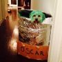 Meet... Oscar THE GROUCH. He lives up to his name ;) 
