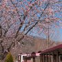 【みかも山公園】園内を周遊するジャパリバスもといフラワートレイン 