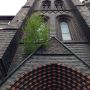 Kerk-boom. 