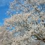 【天平の丘公園】時間が経つにつれて急速に天気は回復 これも日頃の行いの賜物かｗ