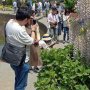 【あしかがフラワーパーク2017】水上花壇脇の通路は花がたくさんの園内随一の撮影スポット♪(と個人的には思ってる) 