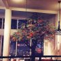 Cactuses are so last year: get a tree in your restaurant 🌳
#greengoals #savagelife #fallcolors #aboutlastnight