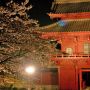 【慈光寺・赤門の桜】これが復元された赤門 新しすぎてあまり風情といったものは感じられないｗ