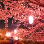 【真岡市・城山公園】金曜日の夜とあって凄い人出でしたｗ