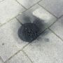 #PAAK oftewel: Public Accidental Anish Kapoor #paap #anishkapoor