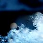 「暦の上では立春」...☃