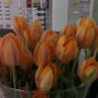 Oranje boven! #mooietulpen :D