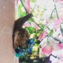 Meanwhile in #Wonderland ...
saved #snail