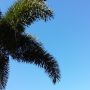 De sunshine state doet z'n naam eer aan vandaag. :D #florida