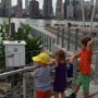 East River Ferry. 
