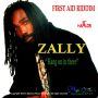 ZALLY - HANG ON IN THERE - SINGLE - MCDOVE MUSIC PRODUCTION #ITUNES 8/20/13 @Mcdovemusic