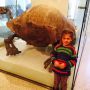 I. In Nat Museum of Natural History