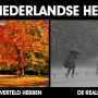 Leugens, allemaal leugens. #herfst