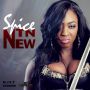 SPICE - NTN NEW - SINGLE - #ITUNES 7/30/13 @RickyBlessMusic @spiceofficial